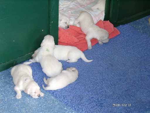 13.10.2001, der erste Ausflug