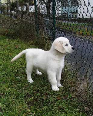 Dezember 2001, Casper