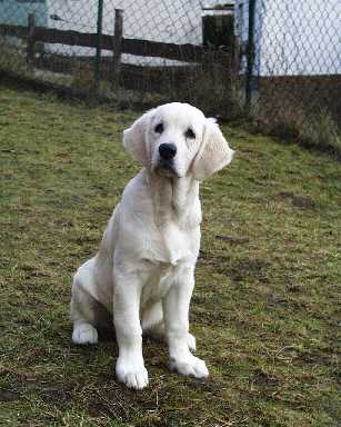 Februar 2002, Casper