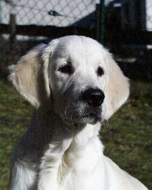 Februar 2002, Casper