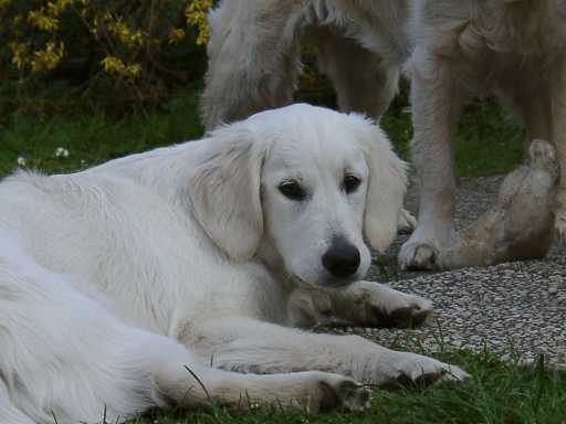 18.04.2002, Annabell