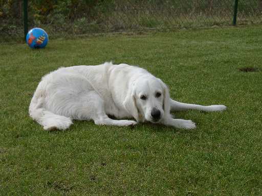 7.10.2002, Sky