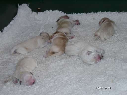 29.03.2003, 2 Tage alt