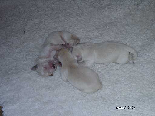 30.03.2003, 3 Tage alt