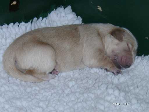 31.03.2003, 4 Tage alt