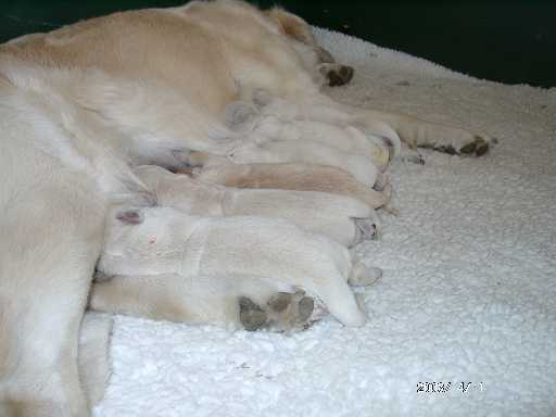 01.04.2003, 5 Tage alt