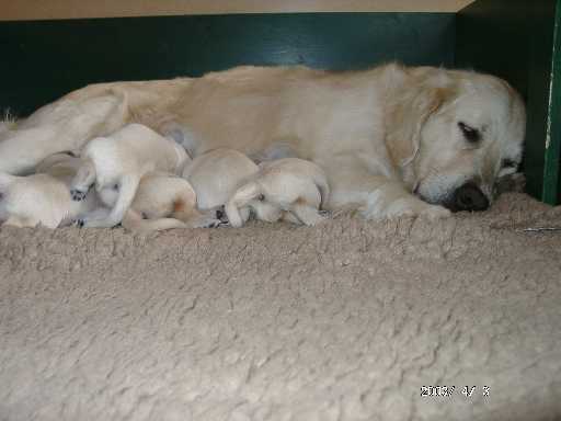 04.04.2003, 8 Tage alt