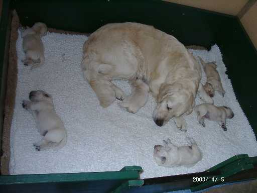 05.04.2003, 9 Tage alt