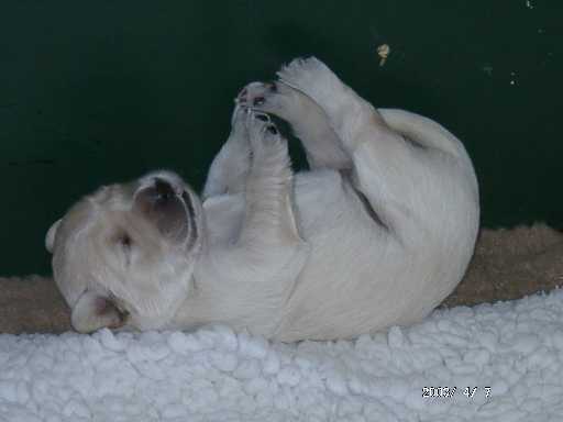 07.04.2003, H�ndin mit blauem Punkt