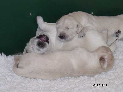 09.04.2003, 13 Tage alt