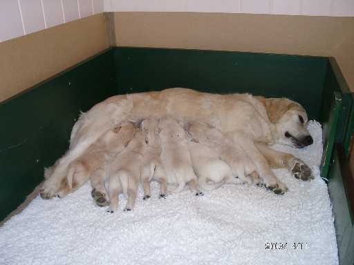 11.04.2003, 15 Tage alt