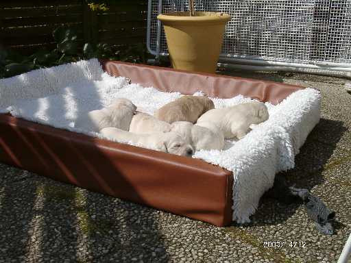 12.04.2003, der erste Ausflug