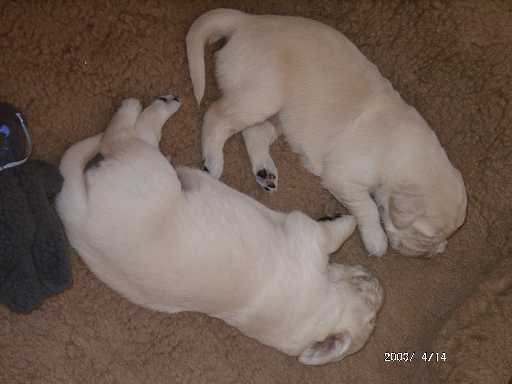 14.04.2003, 18 Tage alt