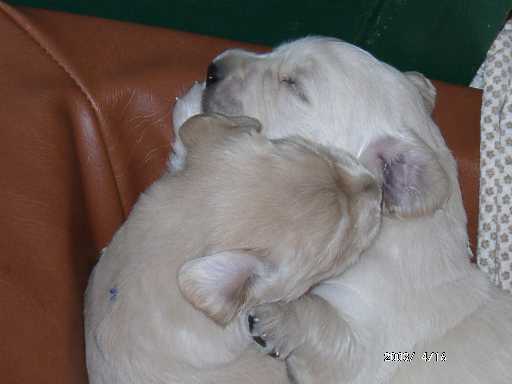 16.04.2003, schmusen ist wichtig