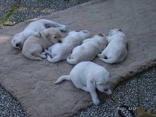 17.04.2003, Ausflug auf die Terrasse