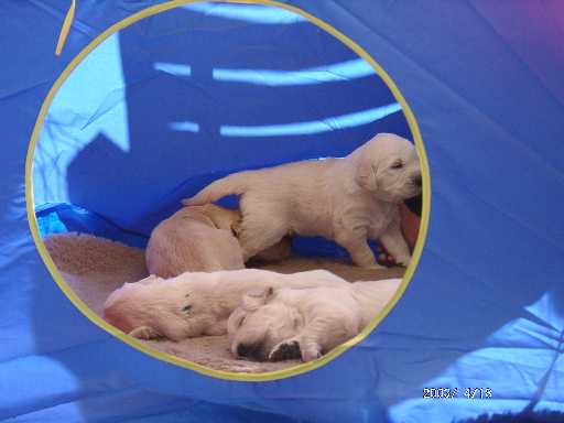 18.04.2003, frische Luft und Sonneneschein