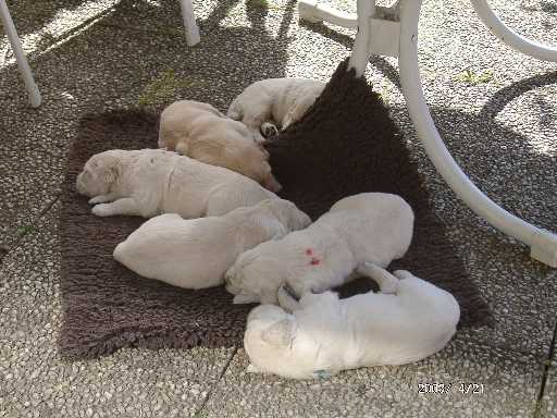 21.04.2003, 25 Tage alt