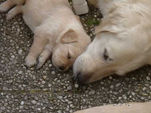 21.04.2003, wenn die Mutter mit der Tochter...