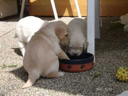 24.04.2003, spielen macht durstig