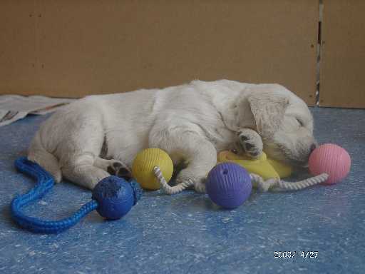 27.04.2003, R�de (gr�n)