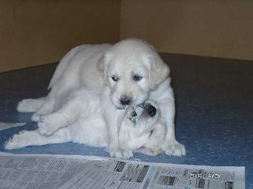 29.04.2003, das ist mein Sp�nchen