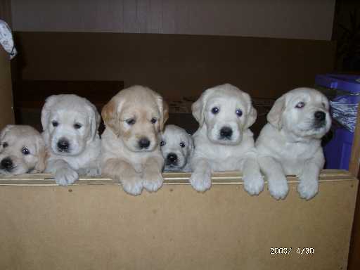 30.04.2003, wo bleibt unser Essen ?