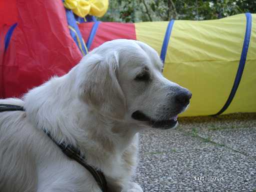 3.05.2002, Nelson