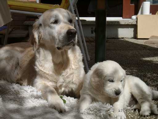 04.05.2003, Tessa und Perjo