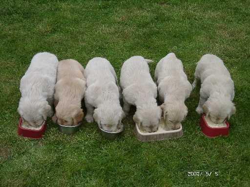 05.05.2003, alles aufessen, damit wir gro� und stark werden