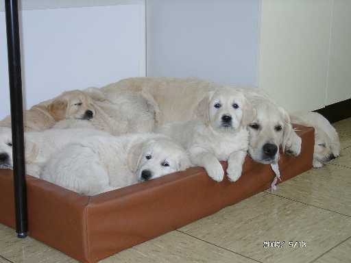 13.05.2003, Jule mit allen Sechsen