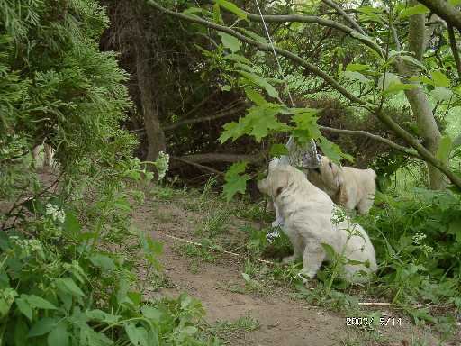 14.05.2003, neues Spielzeug !