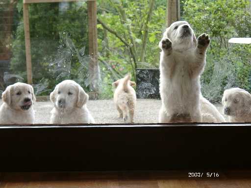 16.05.2003, wir wollen wieder rein