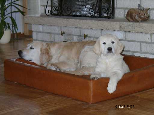 25.05.2003, Tessa und Nelli