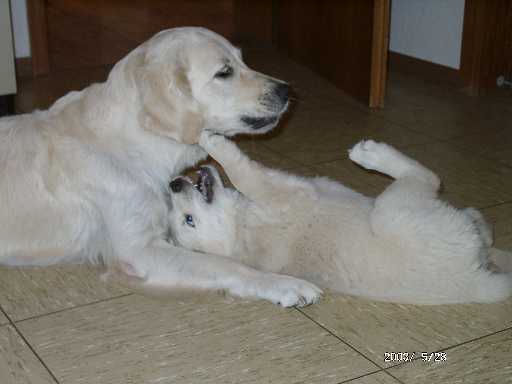 28.05.2003, Jule und Nelli spielen