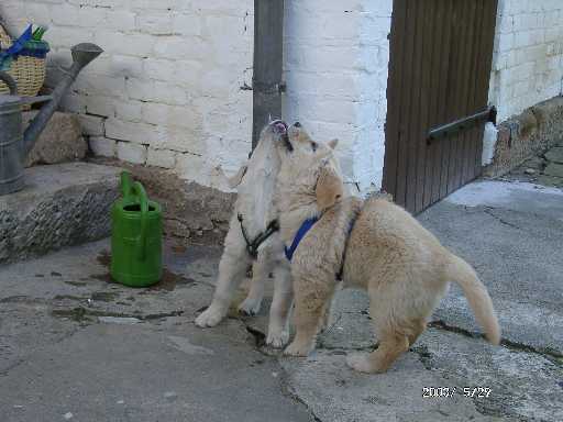 29.05.2003, was gibt es denn da oben