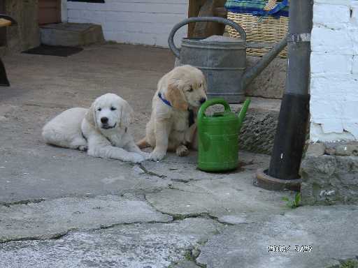 29.05.2003, Nelli und Ruby