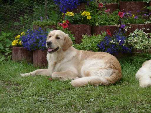10.07.2004, Ruby