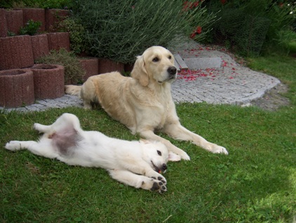 Elis im Spiel mit Nelli