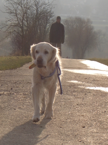 Tessa tr�gt wie so oft ein Stofftier. Dez. 2007