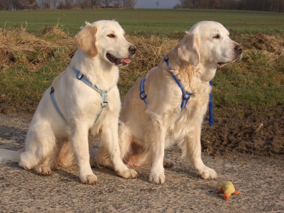 Tessa (re.) und Elis im Dez. 2007