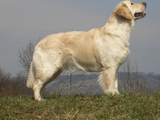 Elis (My Winter Paradise Enchanting Elis)