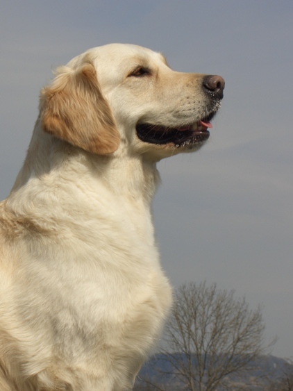 Elis blickt zuversichtlich vor der Pr�fung