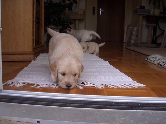 auf dem Weg nach draussen