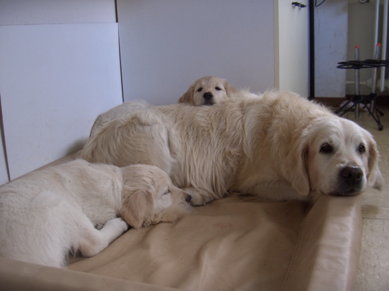 Carlos, Jule und Finia