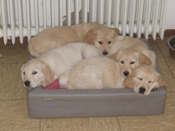 Carlos, Rosa, Finia und Curti