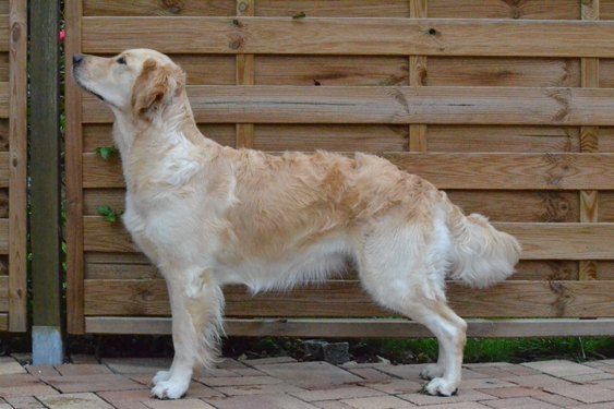 Finia im August 2011