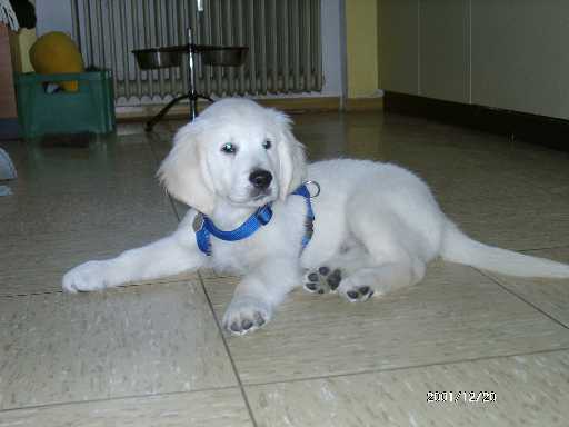 Dezember 2001, Bandit