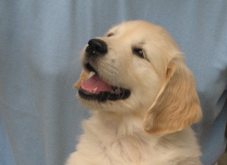 Elis in Fotopose mit 7 1/2 Wochen