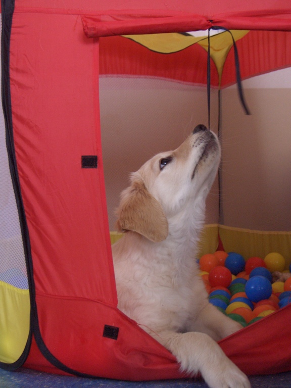 Finia mit Mama Elis im Garten