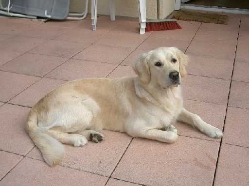 Juni 2004, Lucy